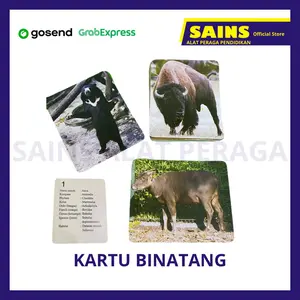 Kartu Binatang