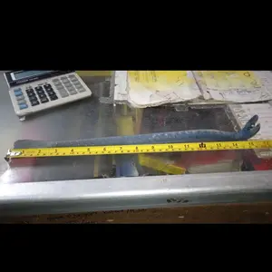 Linggis toge S jumbo 50cm