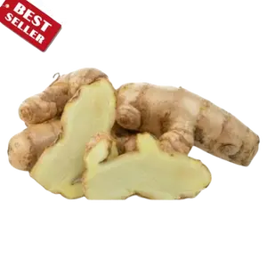 Kunyit Putih Segar 1kg Curcuma Zedoaria Temu Kunyit Kunir Putih