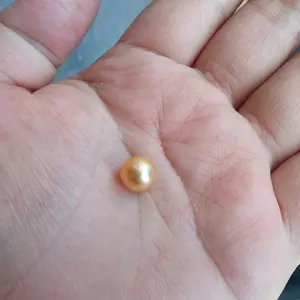 Butiran mutiara air laut gold 6mm 7mm grade A lombok pearl setelan