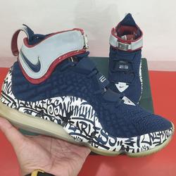 sepatu lebron 17