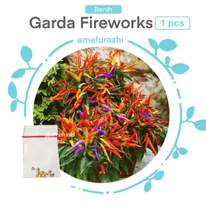 Benih/Bibit/Seeds Garda Fireworks Pepper Cabe Rainbow Unik