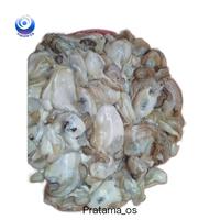 Gambar Oyster Fresh Live dari Pratama-OS Kab. Badung 2 Tokopedia
