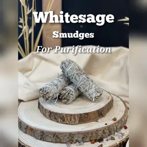 WHITE SAGE ORGANIC CALIFORNIA sd 10cm ASLI HARGA SATUAN