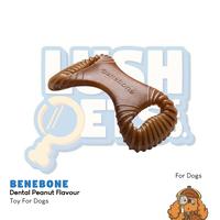 Gambar Benebone Dental Peanut Flavour Dog Chew - Medium dari Lush Pets Co. Kota Administrasi Jakarta Utara 1 Tokopedia
