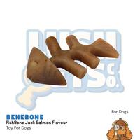 Gambar Benebone FishBone Jack Salmon Flavour Dog Chew - M dari Lush Pets Co. Kota Administrasi Jakarta Utara 1 Tokopedia