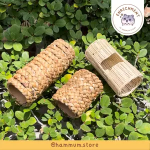 Terowongan Hamster | Tunnel Underground | Mainan Hamster