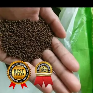pelet ikan pf 1000 500gr pakan ikan pf1000