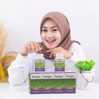 Gambar Fortugin Asli Original Obat Batu Ginjal Peluruh Batu Ginjal Dan Empedu dari De Nature Office Jakarta Kota Administrasi Jakarta Timur 2 Tokopedia