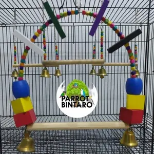 ayunan burung bagus - mainan ayunan gantung burung parrot