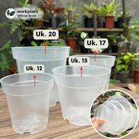 Gambar Pot Bening - Srondol Transparan Ukuran 17 Tanaman Hias - Isi 1 pcs dari workplant official Kota Surabaya 4 Tokopedia