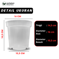Gambar Pot Bening - Srondol Transparan Ukuran 17 Tanaman Hias - Isi 1 pcs dari workplant official Kota Surabaya 2 Tokopedia