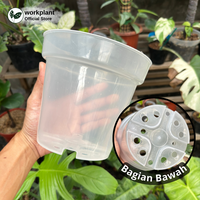Gambar Pot Bening - Srondol Transparan Ukuran 17 Tanaman Hias - Isi 1 pcs dari workplant official Kota Surabaya 3 Tokopedia