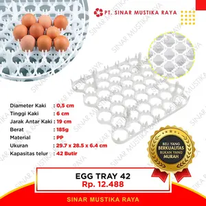 Egg Tray 42 - Tempat Penetasan Telur Ayam
