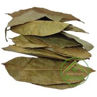 Gambar Daun Sirsak Kering 100gr dari Rumah Rempah Manisha Solo Kota Surakarta 2 Tokopedia
