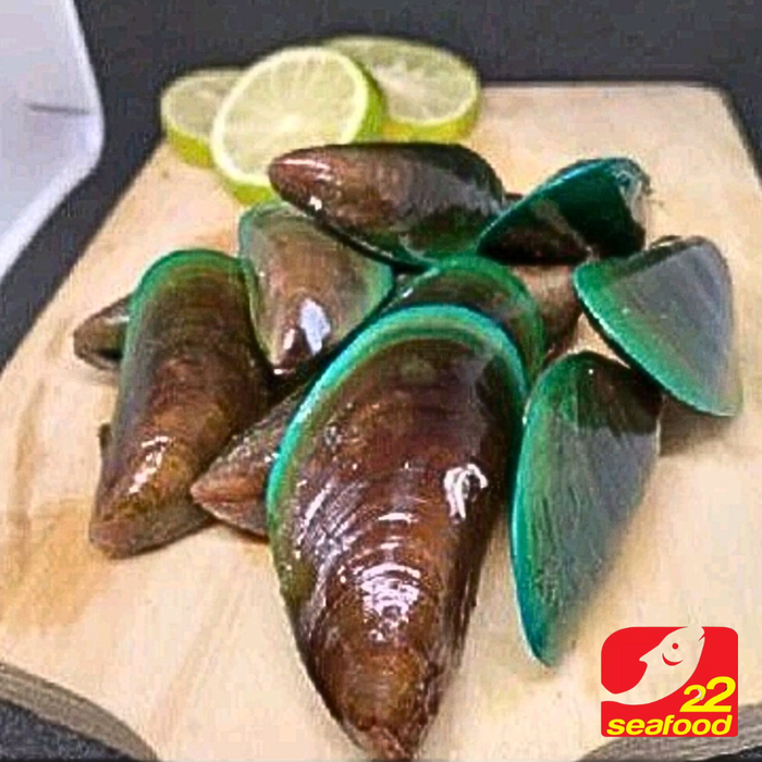 Gambar kerang hijau 1kg / green mussels / seafood 22 dari 22 seafood Artamina Kota Administrasi Jakarta Utara Tokopedia