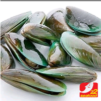 Gambar kerang hijau 1kg / green mussels / seafood 22 dari 22 seafood Artamina Kota Administrasi Jakarta Utara 2 Tokopedia