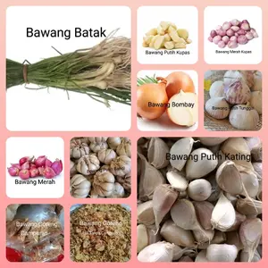 Bawang goreng asli,bawang Batak,bawang merah,bawang Tunggal,Bombay