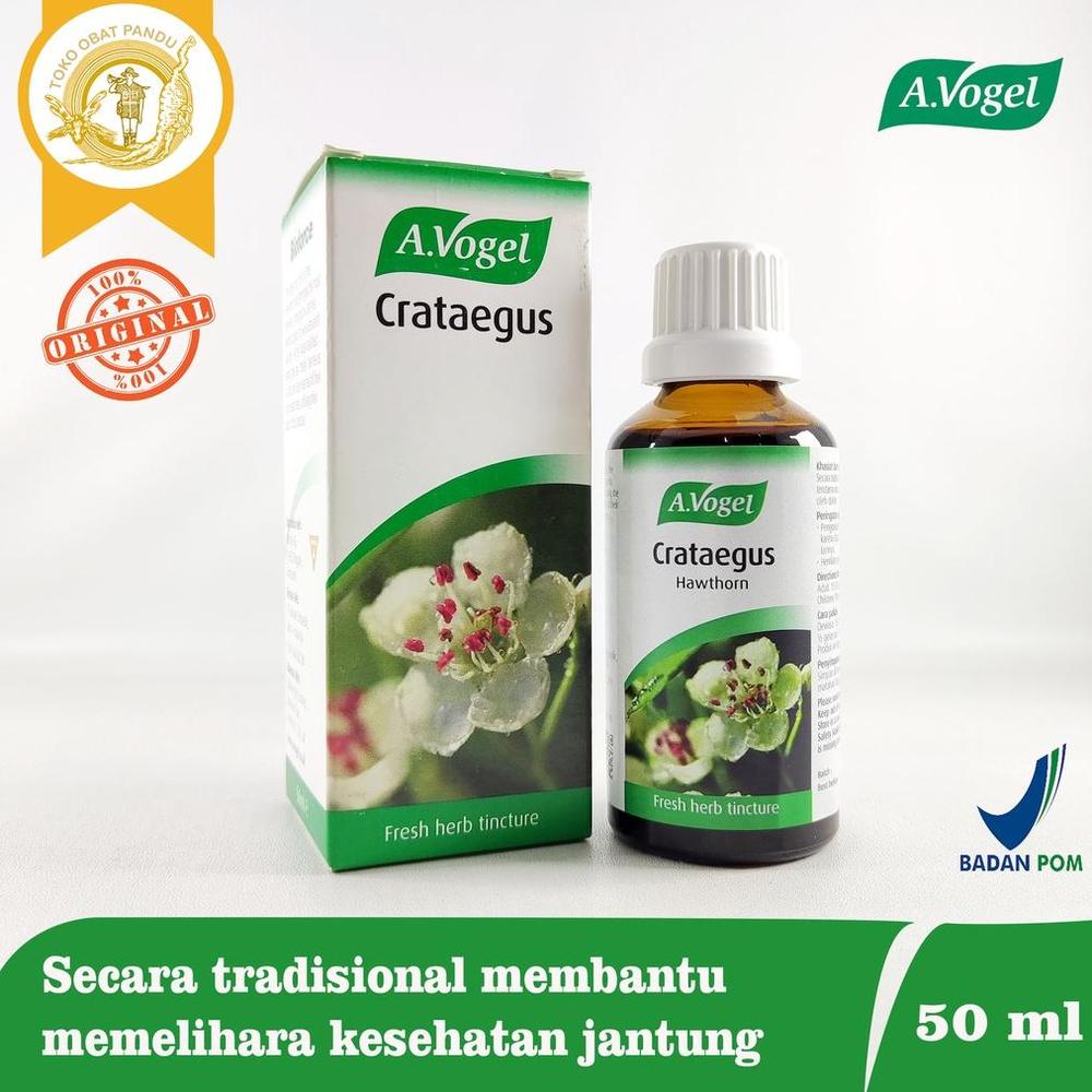 AVOGEL CRATAEGUS / OBAT JANTUNG