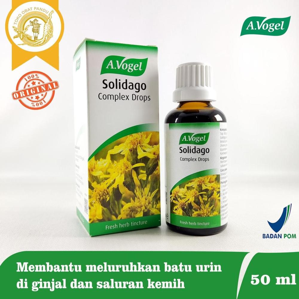 AVOGEL SOLIDAGO / OBAT GINJAL