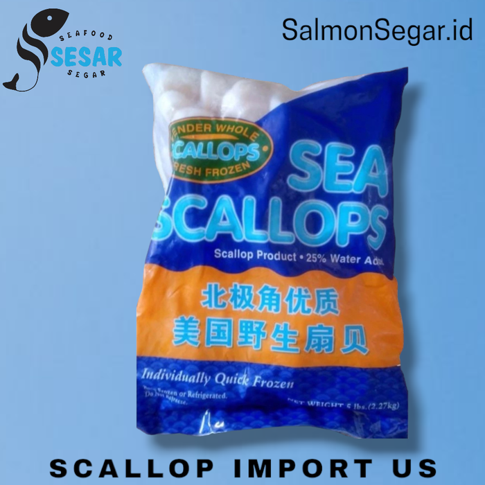 Gambar SCALLOP USA / SCALOP PREMIUM / 2.27kg / KERANG KAMPAK - UK 10/20 dari Salmon Segar Jakarta Kota Administrasi Jakarta Selatan Tokopedia