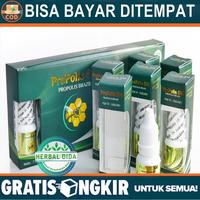 Gambar Penghilang Pantat Hitam Dan Bruntusan, Pembersih Pantat Burik, Bekas Koreng Di Pantat, Propolis Sm Isi 6ml dari Herbalthy Store Kota Administrasi Jakarta Barat 2 Tokopedia
