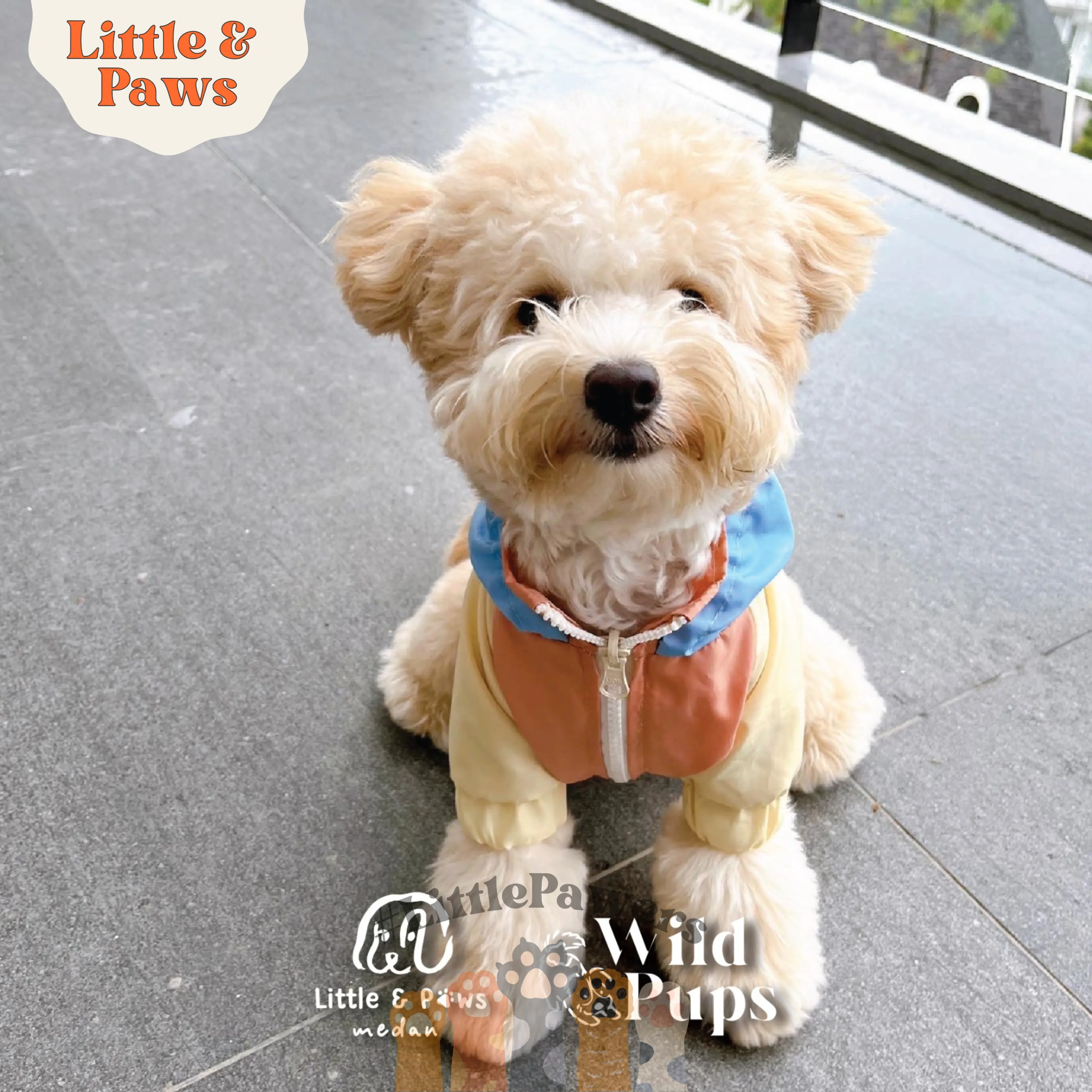 Rain Coat Jacket WindBreaker Cotton Candy Poppin Marsmallow Baju Jas Hujan Dog Cat Anjing Kucing