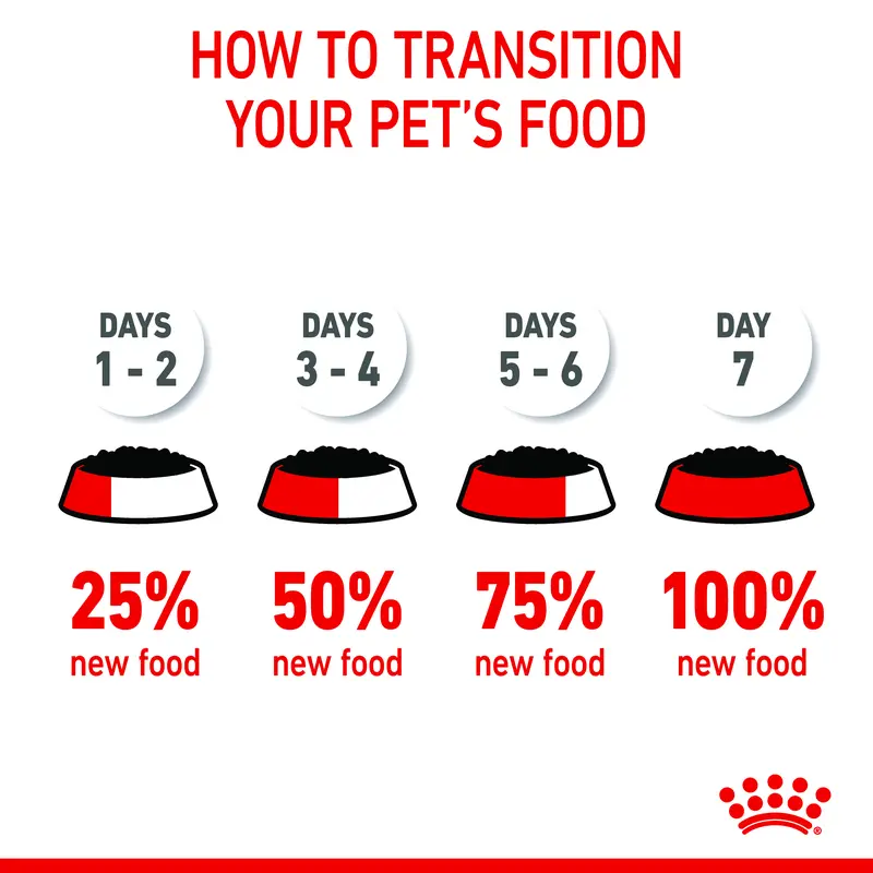 ROYAL CANIN MOTHER & BABYCAT WET FOOD / KALENG 2