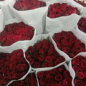 mawar merah malang lokal 20 tangkai