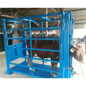 Kandang Jepit Leher Sapi - Kandang Penjepit Sapi