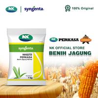 Gambar Benih Jagung NK 6172 | NK PERKASA - 1Kg dari Benih NK Kota Surabaya 1 Tokopedia