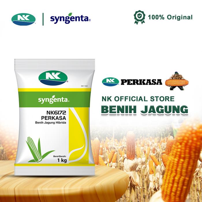 Gambar Benih Jagung NK 6172 | NK PERKASA - 1Kg dari Benih NK Kota Surabaya Tokopedia