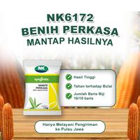 Gambar Benih Jagung NK 6172 | NK PERKASA - 1Kg dari Benih NK Kota Surabaya 3 Tokopedia