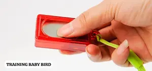 NEW TRAINING BELL CLICKERS  AMERIKA PROFESIONAL PET  MULTISUNGSI TRAINING BURUNG ANJING PET KECIL  MODEL GANTUNGAN KUNCI