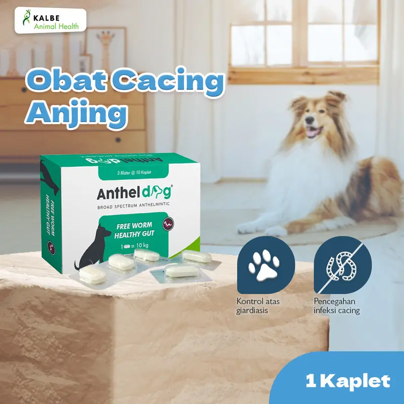 Anthel Dog 1 Tablet - Obat Cacing Anjing ORIGINAL KALBE 0