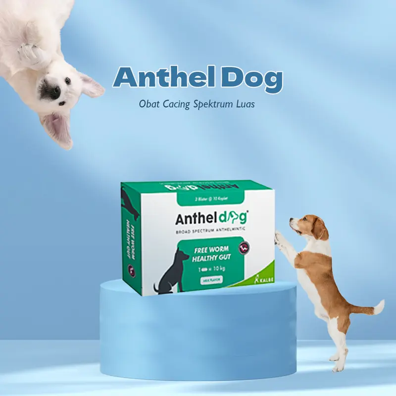 Anthel Dog 1 Tablet - Obat Cacing Anjing ORIGINAL KALBE 4