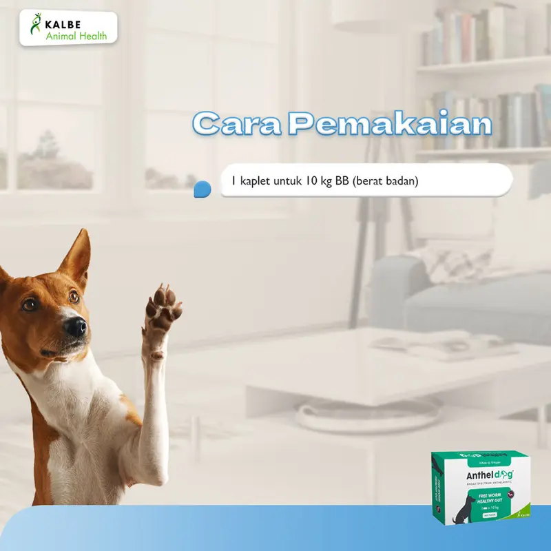 Anthel Dog 1 Tablet - Obat Cacing Anjing ORIGINAL KALBE 3