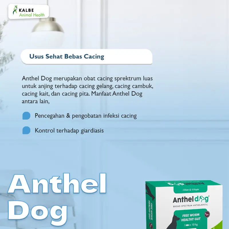 Anthel Dog 1 Tablet - Obat Cacing Anjing ORIGINAL KALBE 1