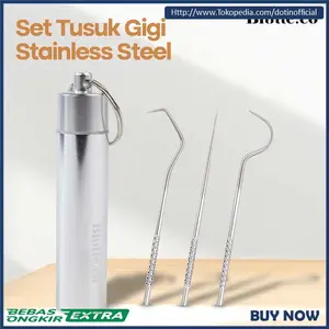 Tusuk Gigi Pembersih Sisa Makanan Stainless Steell Portabel + Case