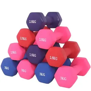 Dumbell Barbell 0,5 kg / 1 kg / 2 kg / 3 kg Dumbel / Barbel Kualitas Tinggi Original Import (HARGA PER SATU PCS/BUAH)
