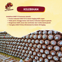 Gambar Bibit F2 Jamur Tiram Putih Kemasan Plastik 250 gr dari Villa Mushroom Agrifarm Kab. Bandung 3 Tokopedia
