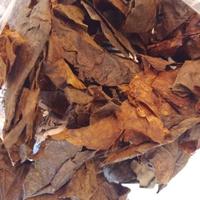Gambar Daun ketapang Laut olahan siap pakai 60gr dari Zeed aquatic Kota Tangerang Selatan 2 Tokopedia