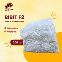 Gambar Bibit F2 Jamur Tiram Putih Kemasan Plastik 250 gr dari Villa Mushroom Agrifarm Kab. Bandung 1 Tokopedia