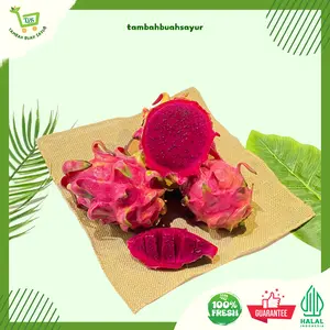 Tambah Buah Dan Sayur Buah Naga Premium Fresh 1 Kg Khusus Sameday Dan Instan Halal Indonesia