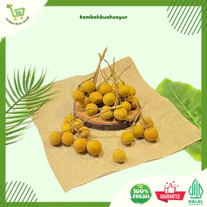 LENGKENG IMPORT | BUAH LENGKENG FRESH (KHUSUS SAMEDAY DAN INSTAN)