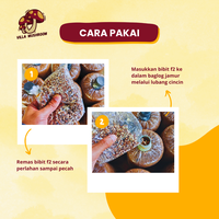 Gambar Bibit F2 Jamur Tiram Putih Kemasan Plastik 250 gr dari Villa Mushroom Agrifarm Kab. Bandung 2 Tokopedia