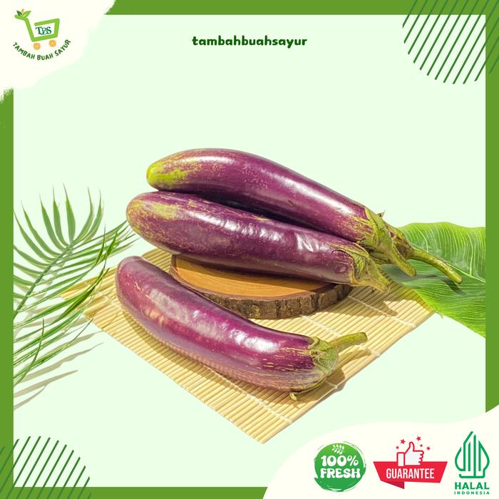 Gambar TERONG BESAR | TERONG PREMIUM | FRESH (KHUSUS SAMEDAY DAN INSTAN) dari Tambah Buah Sayur Kota Administrasi Jakarta Timur Tokopedia