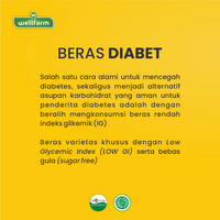 Gambar Beras Diabetes Organik 1Kg WellFarm Food Putih Rice dari OWELLNESS Organik Kota Bekasi 4 Tokopedia