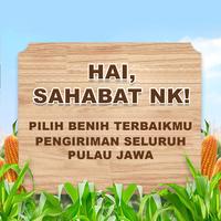 Gambar Benih Jagung NK 6172 | NK PERKASA - 1Kg dari Benih NK Kota Surabaya 2 Tokopedia