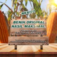 Gambar Benih Jagung NK 6172 | NK PERKASA - 1Kg dari Benih NK Kota Surabaya 4 Tokopedia